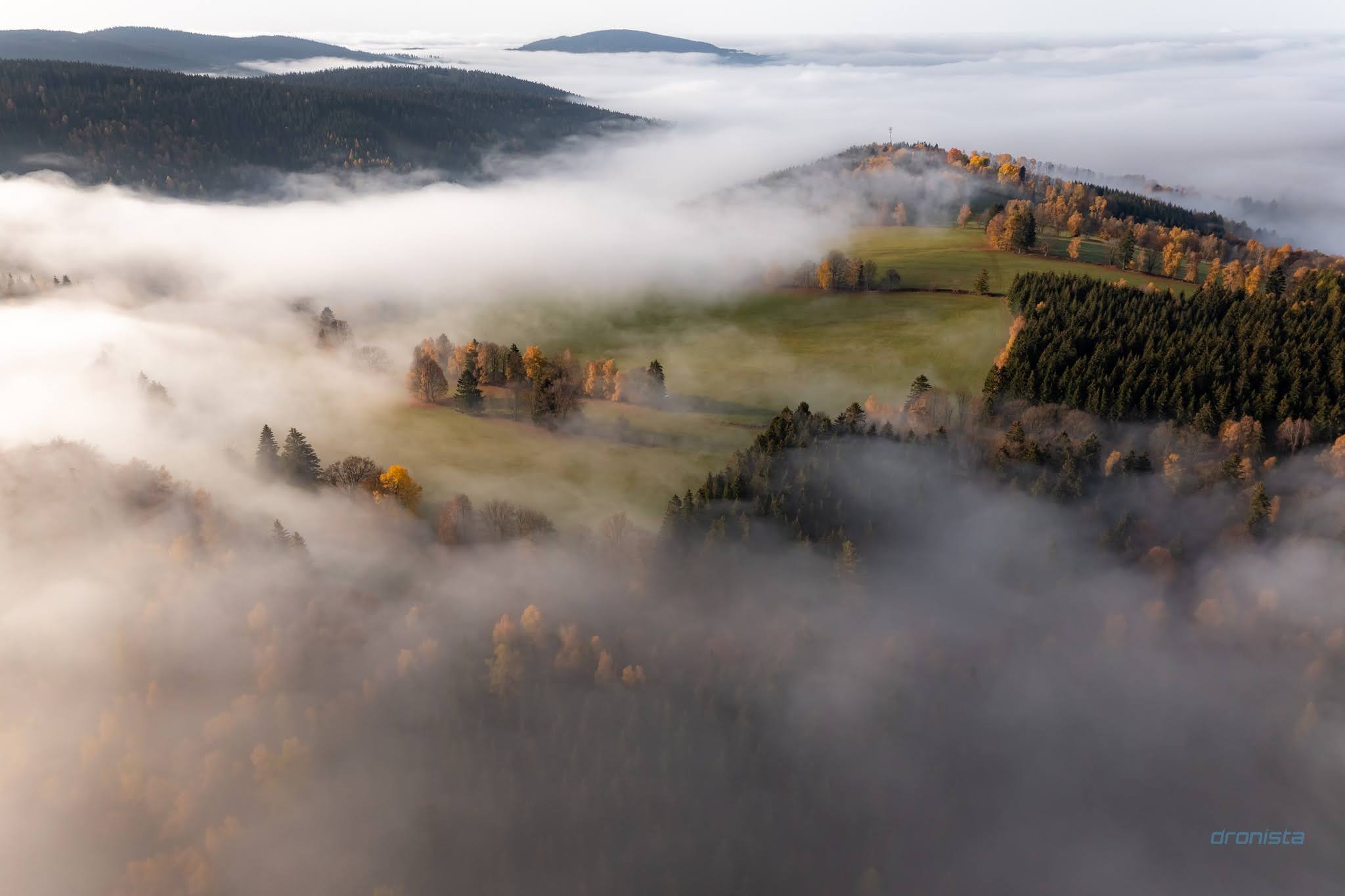 Podzimní krajina zahalená mlhou
